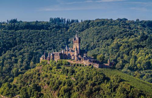 Apartments Haus Daniela - Foto 13