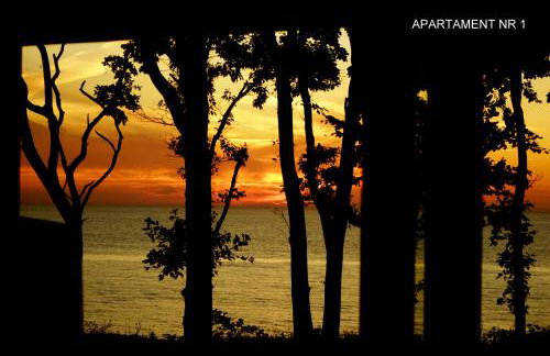 Apartamenty ORION Trzęsacz - Foto 28