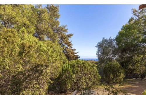 Villa Lavezzi F2 2-4 pers Rondinara, Bonifacio - Foto 20