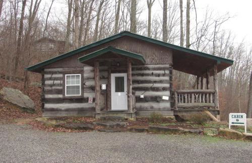 Lookout Mtn cabin with a view - Foto 7