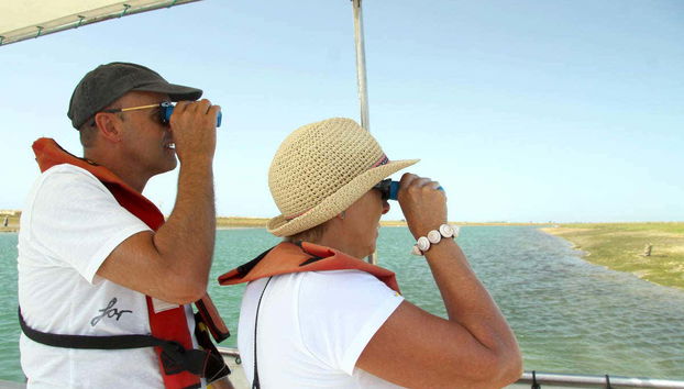 Ria Formosa Bird Watching - Foto 4