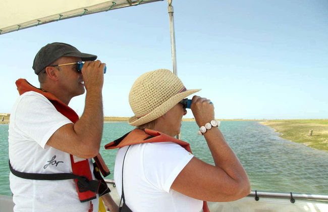 Ria Formosa Bird Watching - Foto 4