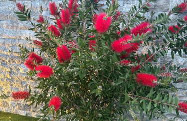 ETOILE DU BERGER Saint Aygulf 3 Villas et 4 appartements jardin individuel et piscine chauffée en saison - la mer et les plages 450 m - Foto 5