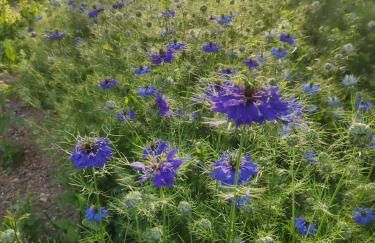 Entre Bourges et Sancerre Escale Bien-Être - Foto 29