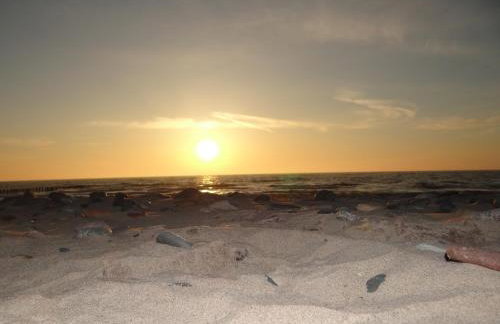 Domki letniskowe Wikar - Foto 34