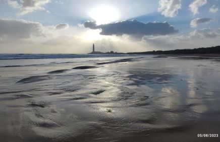 Villa Oasi dune e mare - Foto 19