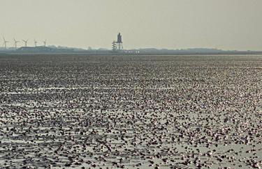 Ferienwohnung am Deichweg - Foto 24