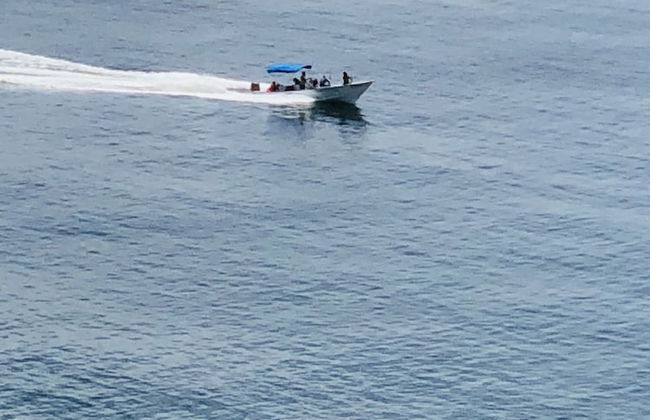 Castara Inn - Photo 64