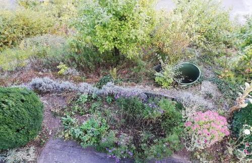 Rothaarsteig Ferienhaus - Foto 56