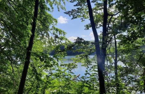 Pod Żurawiem Urokliwy domek na Kaszubach - Foto 61