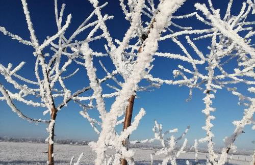 Tranquil Pepelow Retreat - Foto 37