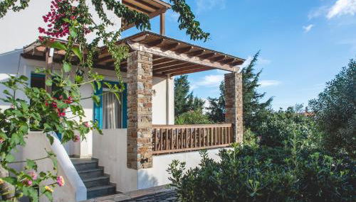 Andros Maisonettes - Foto 1, Garden view