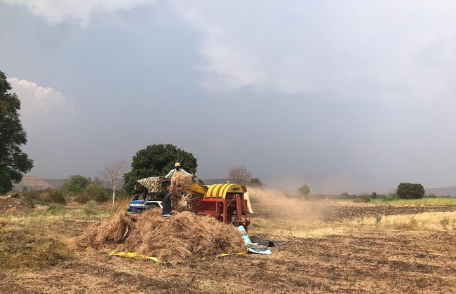 ingawale farmhouse - Photo 30