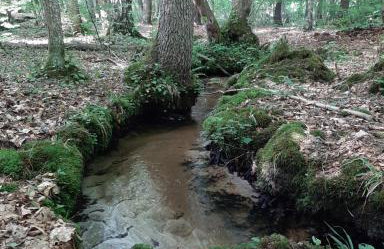 Apartament Pod Orzechem - Foto 25