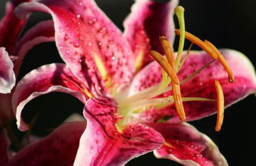 Modern Cottage with Peeks of Ocean Views - Foto 24