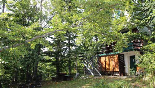 Planinska vikendica LUCIJA - Foto 5, Garden