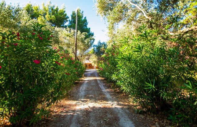 Doliva Estate - Foto 55