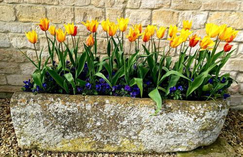 Greystones Lodge - Foto 18