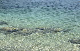 Villa Evita Apartments - Foto 13