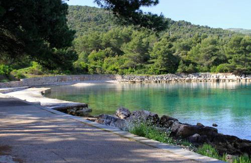 Apartments with parking space Dol, Hvar - 24122 - Foto 2