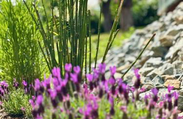 Ferienwohnungen Brenner einchecken und wohlfühlen - Foto 16