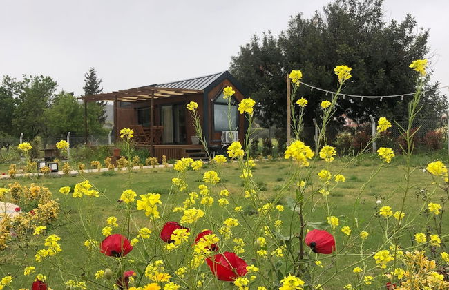 Radika Datca - Photo 22