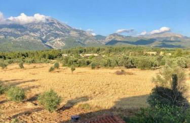 Villa Vasiliki - Foto 34