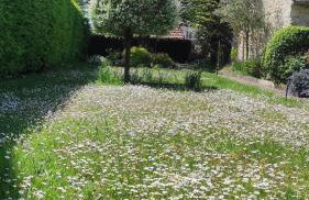 Gîte authentique près Zoo de Beauval et Châteaux - Photo 37