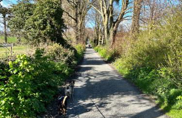 The Round House - Foto 23