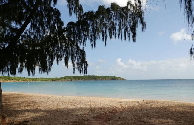 Beachfront Studios - Photo 63