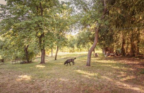 Lahnhaus Brühl/ Fende Haus - Foto 16