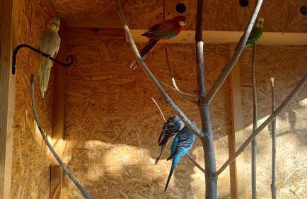 Domek z Góralską Duszą Śleboda - Foto 48