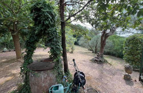 La casa nel bosco - Foto 23