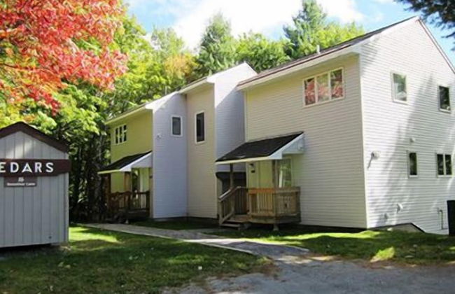 Mount Snow Condominiums - Photo 15