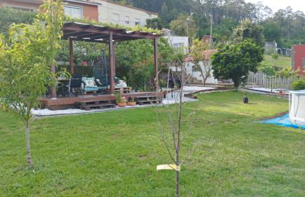 Casa Santamaria a 5min de Noia cerca de la playa - Foto 37