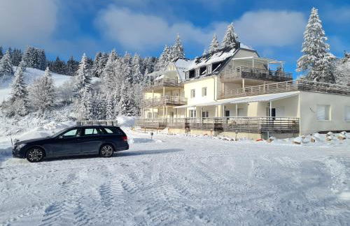 bel appartement 3 pièces dans la Résidence Vosges-Alsace Orbey - Foto 6