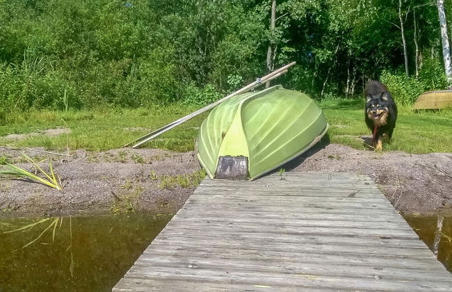 Hilupilttuu - Foto 29