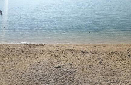 Apartments Simurina - Foto 49