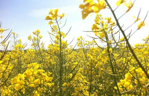 Ferienwohnungen Dargatz - Foto 31