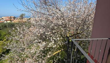 Intero Appartamento a Sant'Agnello , Le Ortensie - Foto 4, Garden