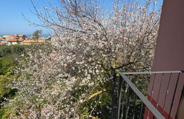 Intero Appartamento a Sant'Agnello , Le Ortensie - Foto 4