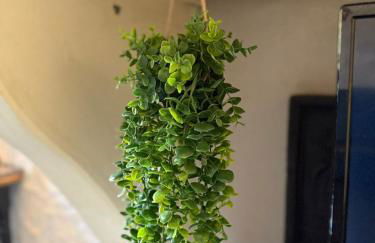 Studio Cosy & Authentique - Centre Ligny - Foto 15