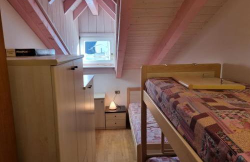 Cesa Alegra - Foto 18