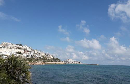 BONITAS VISTAS - Photo 33