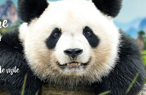 Le Refuge des Elfes - Foto 7