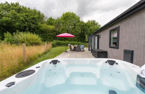 Blossom Lodge, 1 Roadford Lake Lodges - Foto 6