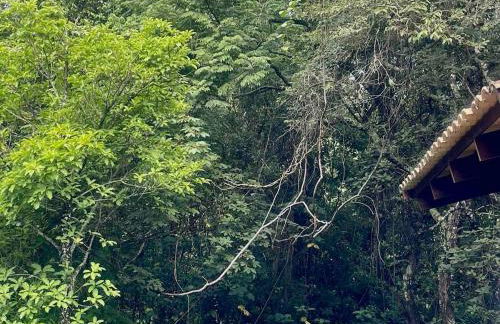 Reserva Atibaia / Casa de Montanha - Photo 63