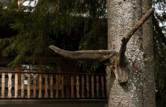 Artist's House - Foto 8