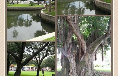 Walk to Everything Downtown EAT - SHOP - PLAY - Foto 26