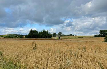 Winnica Bursztynowa - Foto 25